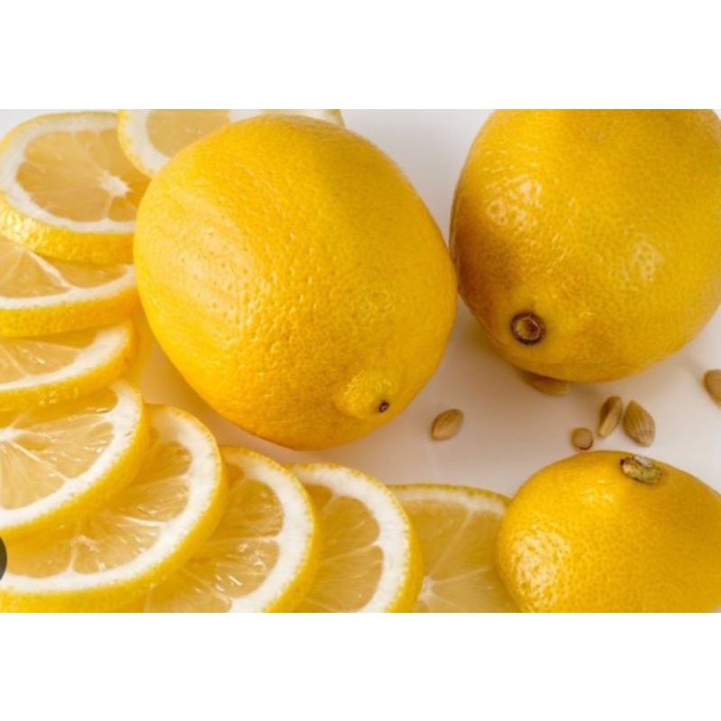 

jeruk lemon seger super 500g
