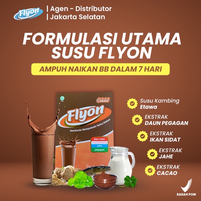 Flyon Susu Penggemuk Badan Penambah Berat Badan