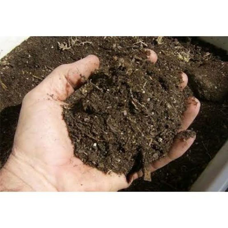 

Spora kotoran sapi/Bahan masrum 1kg