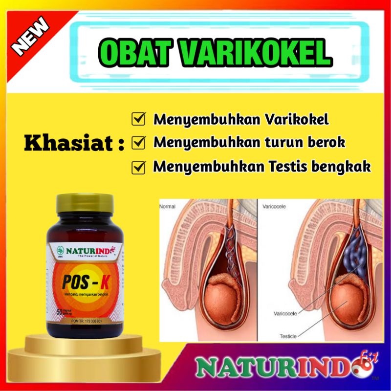 OBAT VARIKOKEL HERBAL BUAH ZAKAR BENGKAK MANDUL NYERI TESTIS BV FLOW POS K NATURINDO BISA COD