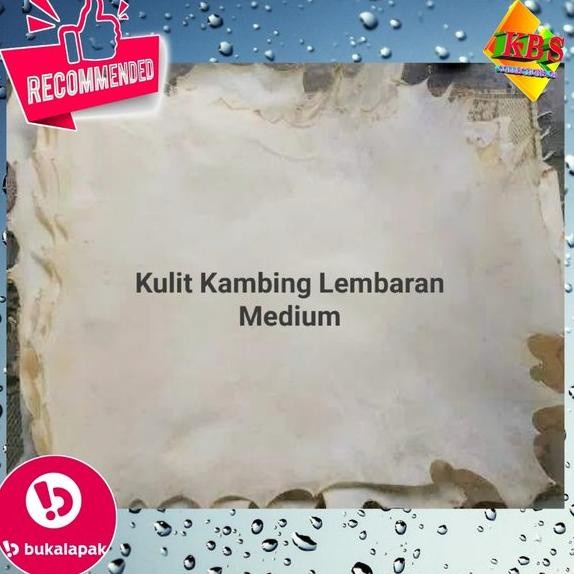 Terlaris Hadroh Bass Kulit Lembaran