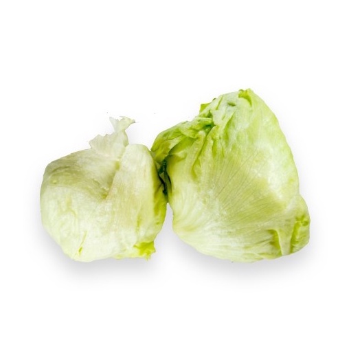 

Lettuce Head / Iceberg Lettuce Organik 500gr-JktBar
