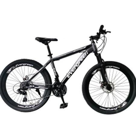 Sepeda MTB 26 Evergreen discbrake murah