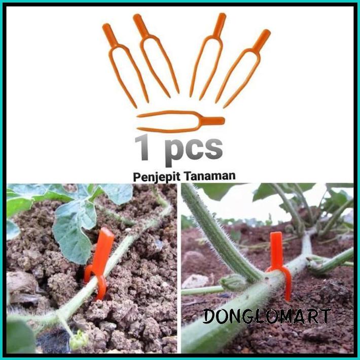 KLIP PENJEPIT TANAMAN RAMBAT JEPITAN BATANG RAMBAT BEST PRODUK