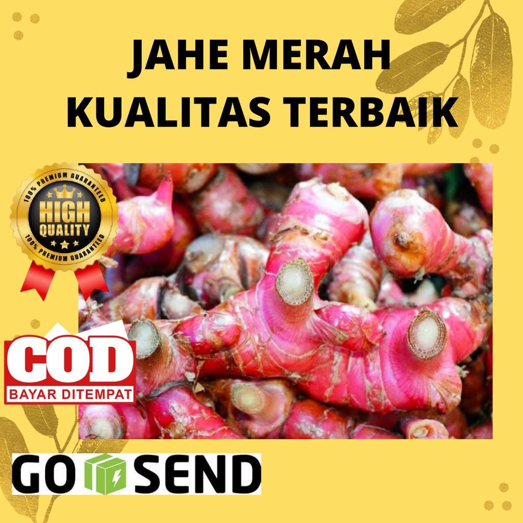 

JAHE MERAH FRESH 500gr [ TERMURAH BERKUALITAS ]