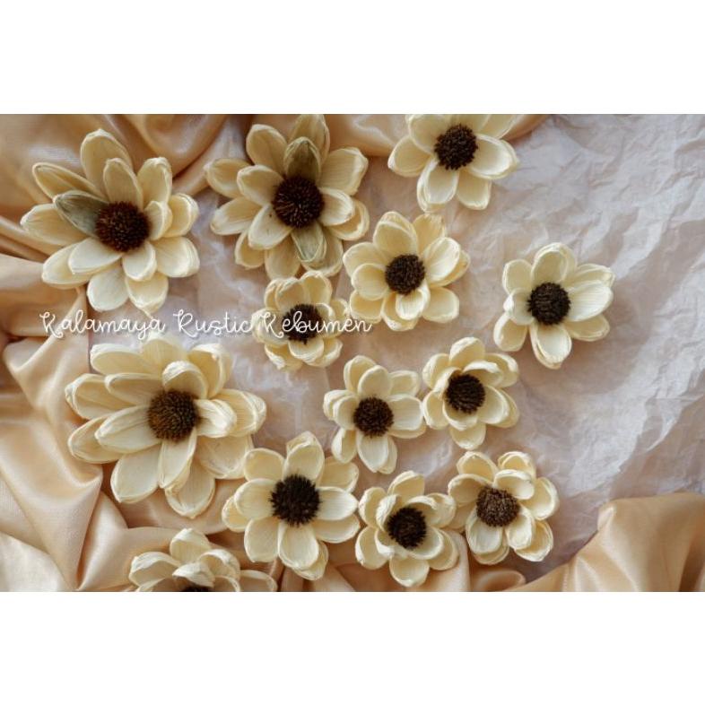 Bunga Klobot Jagung Hiasan Hantaran Mahar Dekorasi Buket Bunga Kering dried Flowers Ring Terarrium