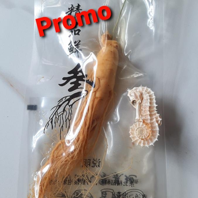 

>>>>>] Ginseng Merah Korea + Kuda Laut Putih 1 Pcs 100% Asli