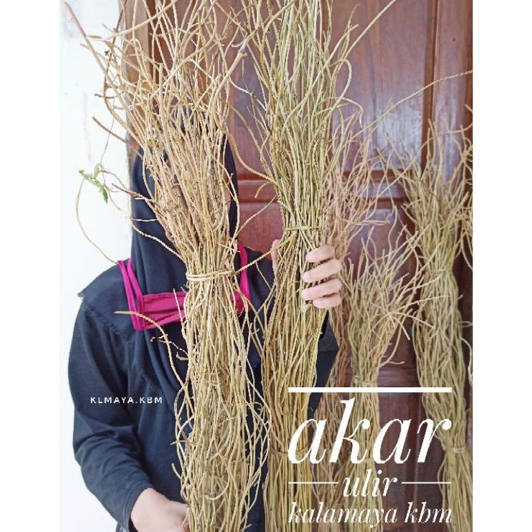 Ranting Akar Ulir Dekorasi Ring Arch Lingkaran Rustic Hiasan Vas Guci Rotan Palem Dried Bunga Bambu