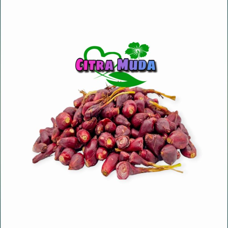 

Bawang Dayak segar /500gram