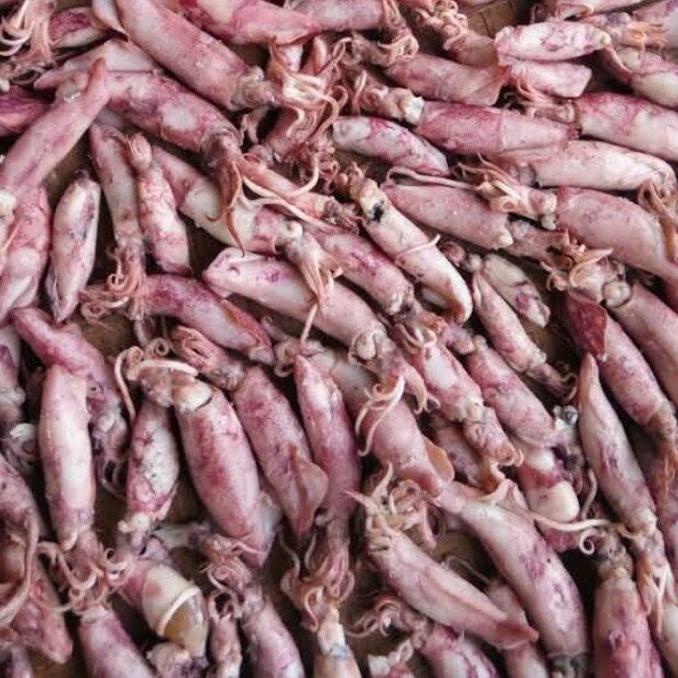 

Free Ongkir SayurHD Cumi Asin 100gr