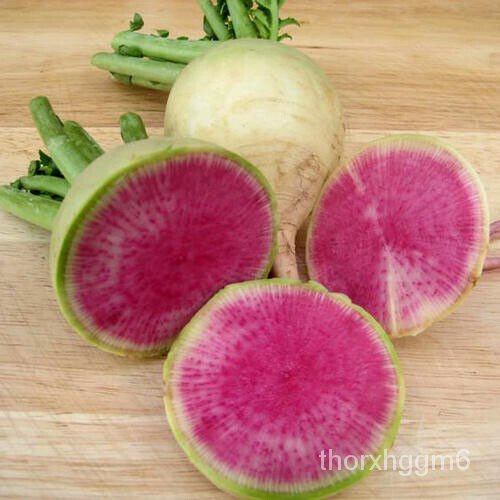 

HatiดุPusaka Lobak Merah Cinaัพ ธSemangka์Amerika100เน Daging Cantikม็LobakลBenih+ 7UPW