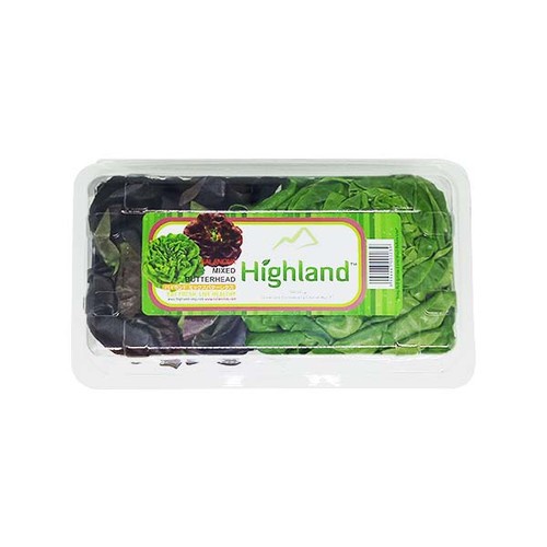 

Highland Butterhead Mixed Tube 250gr