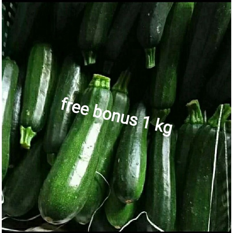 

zukini 500 gr + gratis bonus