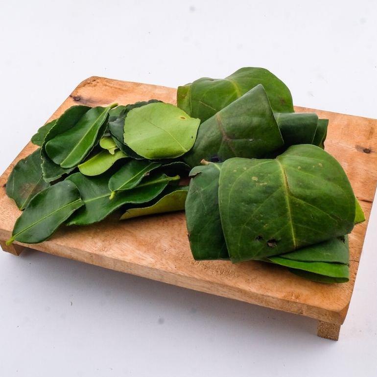 

Daun Jeruk Segar