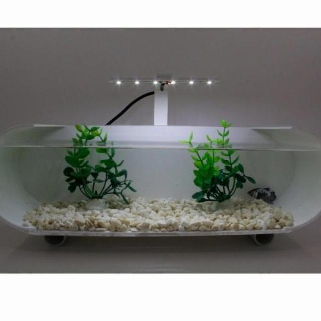 Aquarium Mini Akrilik Unik Aquarium Ikan Cupang Fullset Non Cod