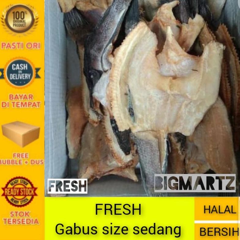 

Ikan asin gabus super size sedang fresh kering Best Seller