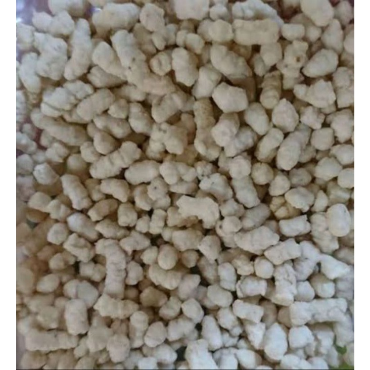 

pilus kencur, pilus cikur