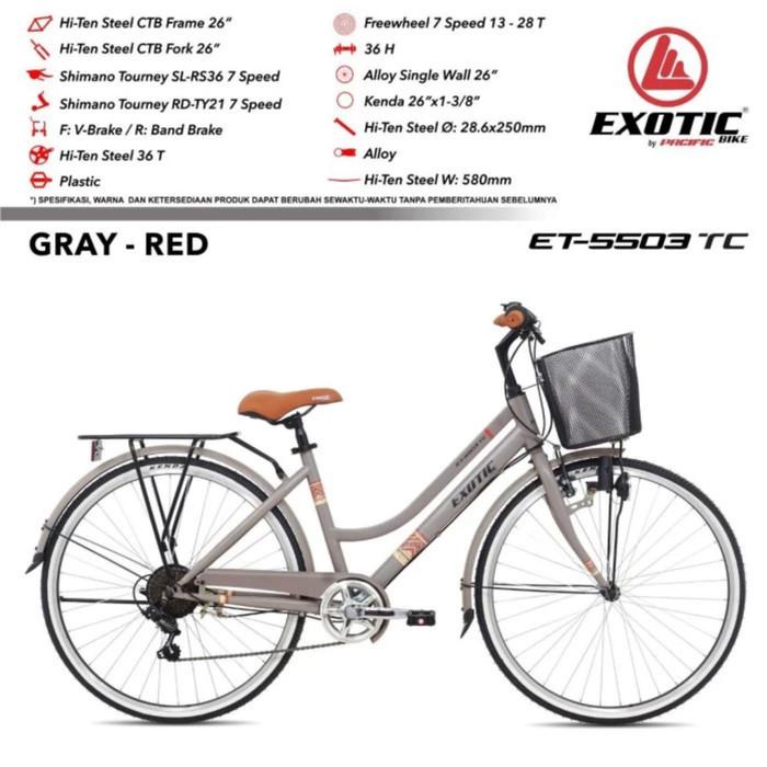 Terlaris Sepeda Keranjang Ctb 26 Inch Exotic Terbaru