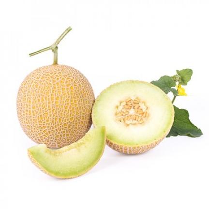 Benih melon RZ Inthanon - 1000 kemasan ori