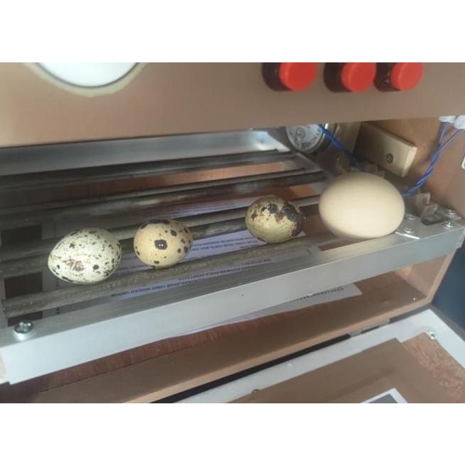 Mesin Penetas Telur Full Otomatis / Mesin Tetas Telur Otomatis