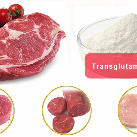 

Transglutaminase Meat - Perekat Daging Laputamarta