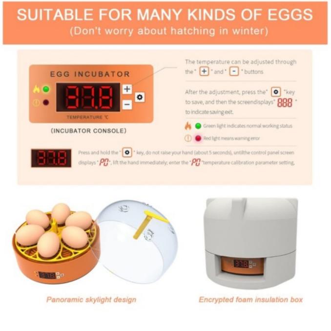 Egg Incubator Mini Penetas 6 Telor Ayam Burung Bebek Putar Kecil