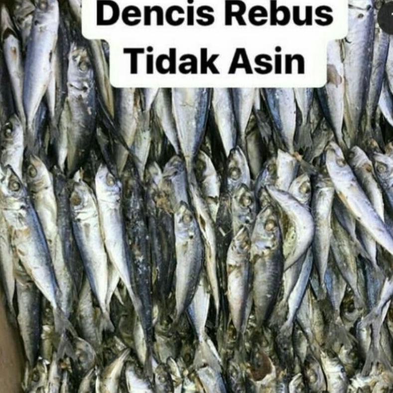 

Dencis rebus Best Seller