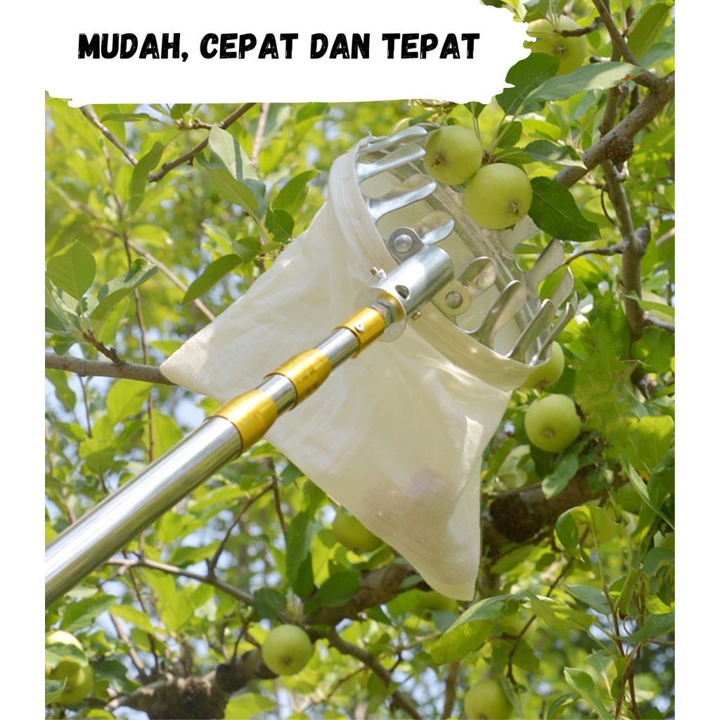 Alat Pemetik Buah /Pengambil Buah dari Pohon/Fruit Picker 2.1- 4meter