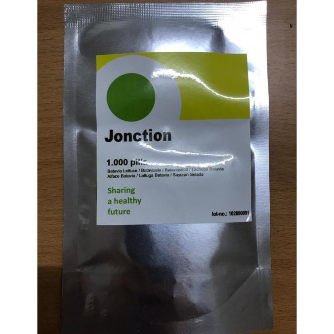 Bibit Benih Selada Batavia Jonction Junction RZ Rijk Zwaan 1000 Pills