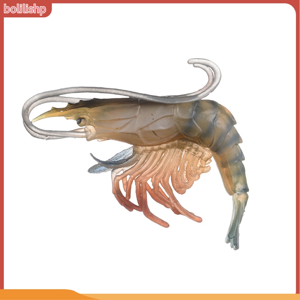 &lt;Bolilishp&gt; High Simulation Shrimp Squid Ocean Animal Model Figurine Table Decor Kids Toy