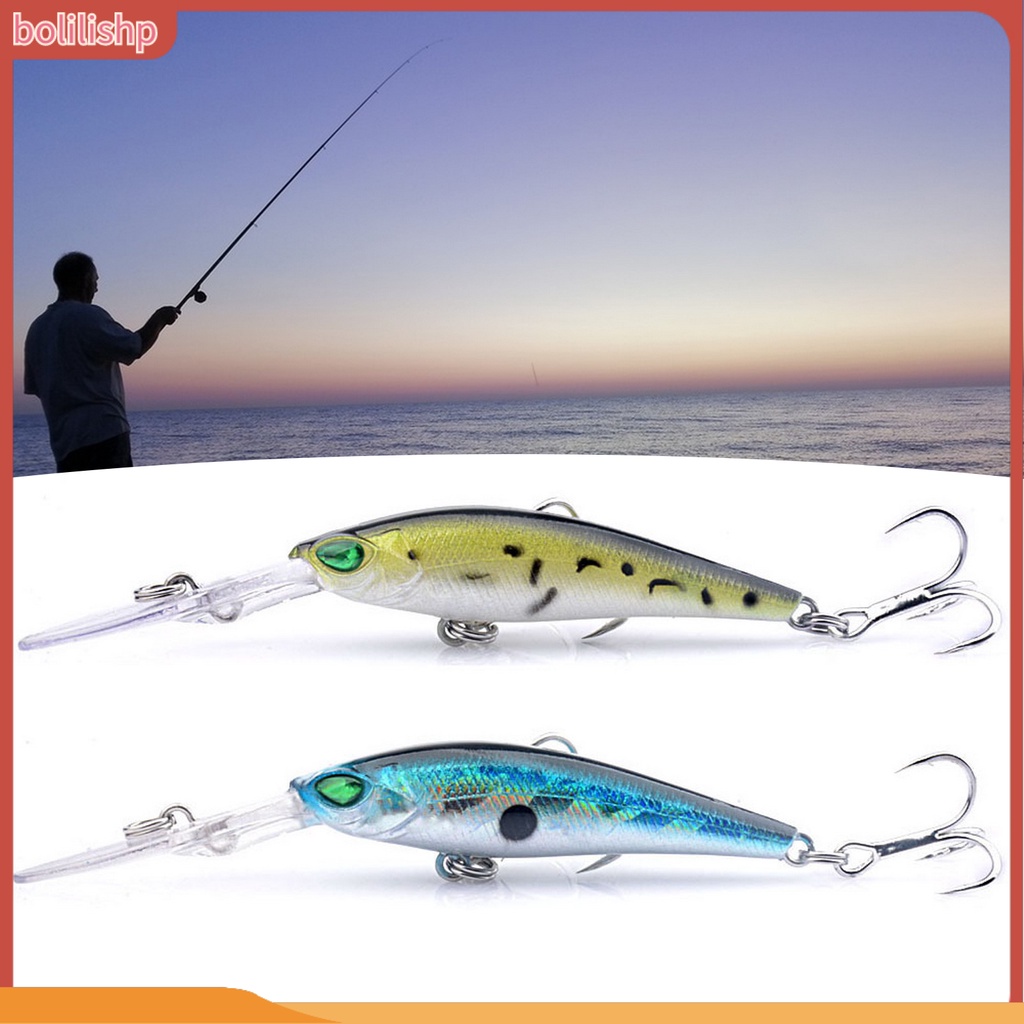 [Bolilishp] 6g/9cm Umpan Keras 3D Simulasi Fisheye Tajam Kait Simulasi Realistis Angling Lidah Panjang Piring Bionic Umpan Memancing Luar Ruangan