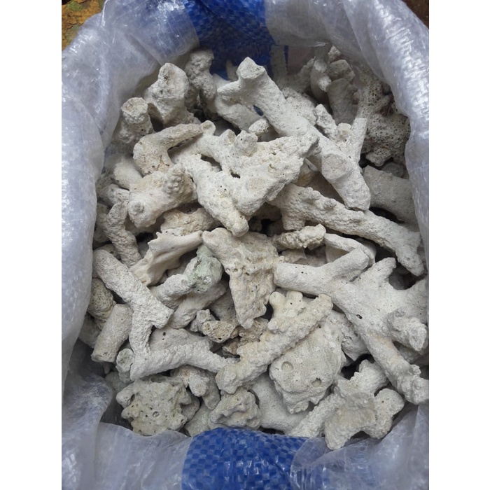 

Karang Jahe 25 kg