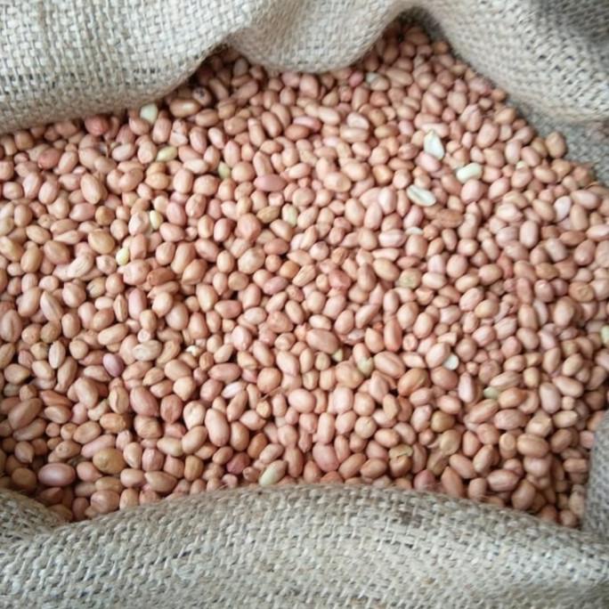 

Kacang Tanah India java 80/90 per 10kg khusus gojek dan grab