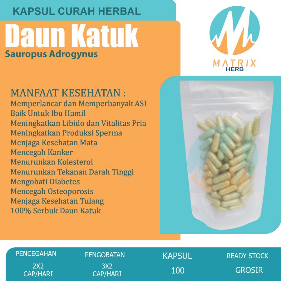 DAUN KATUK 100 Kapsul Herbal ASI Vitalitas Libido Osteoporosis Ngorok