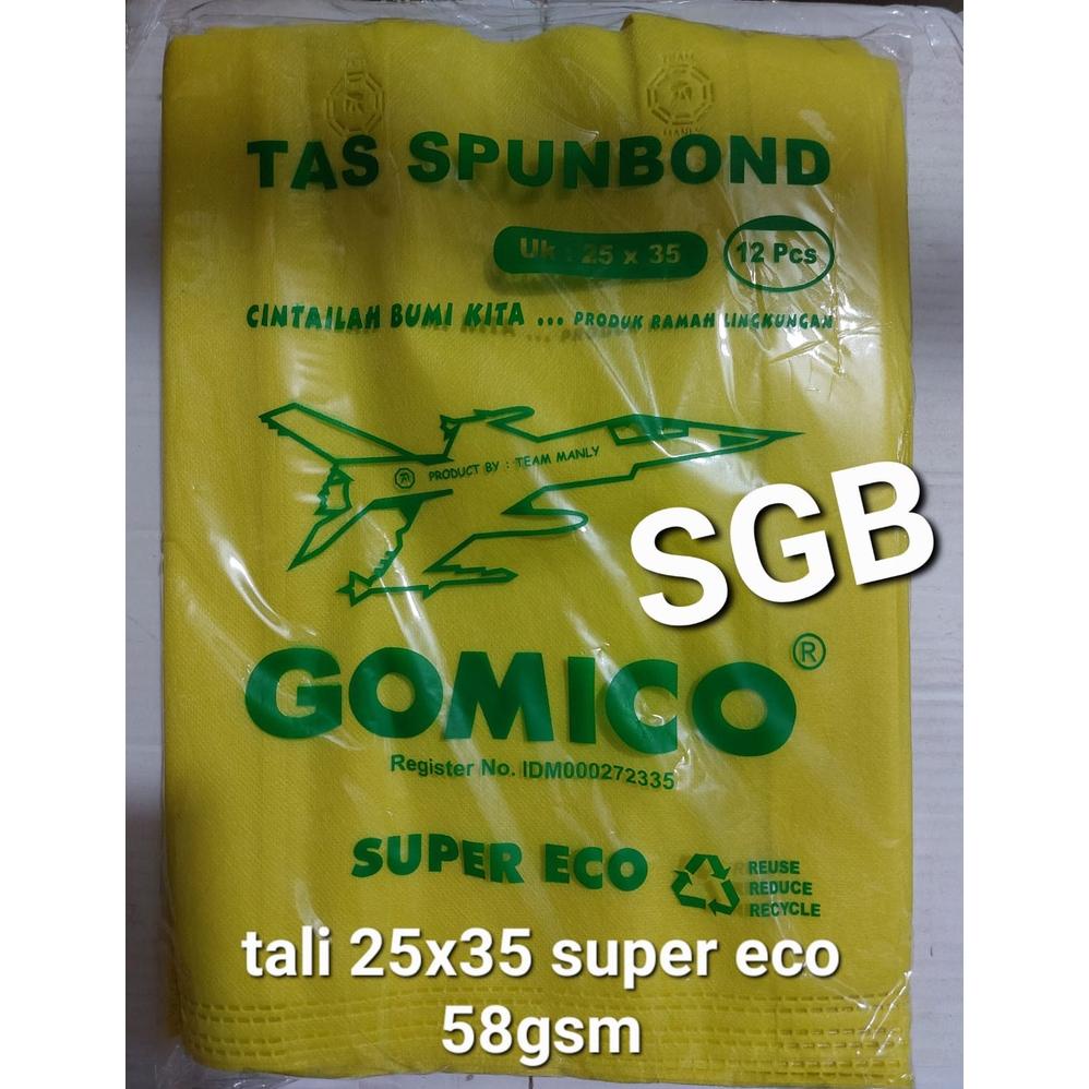 

New Super ECONOMIS Goodie bag tali 25x35x8 58GSM per lusin / tas spunbond