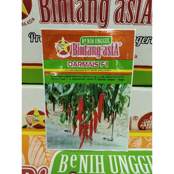 Benih Cabai Cabe Besar DARMAIS F1 10 Gram Cap Bintang Asia PT Benih Citra Asia Warna Merah Menyala C