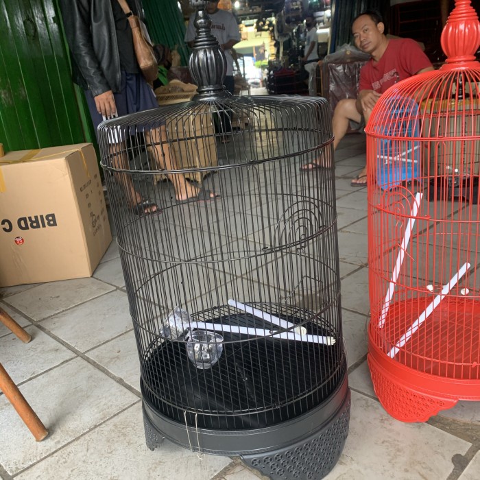 NEW SANGKAR LOVEBIRD JUMBO DIAMETER 40CM BEST QUALITY