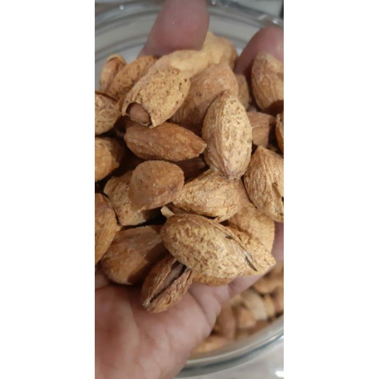 

Model terkini kacang almond 0PV