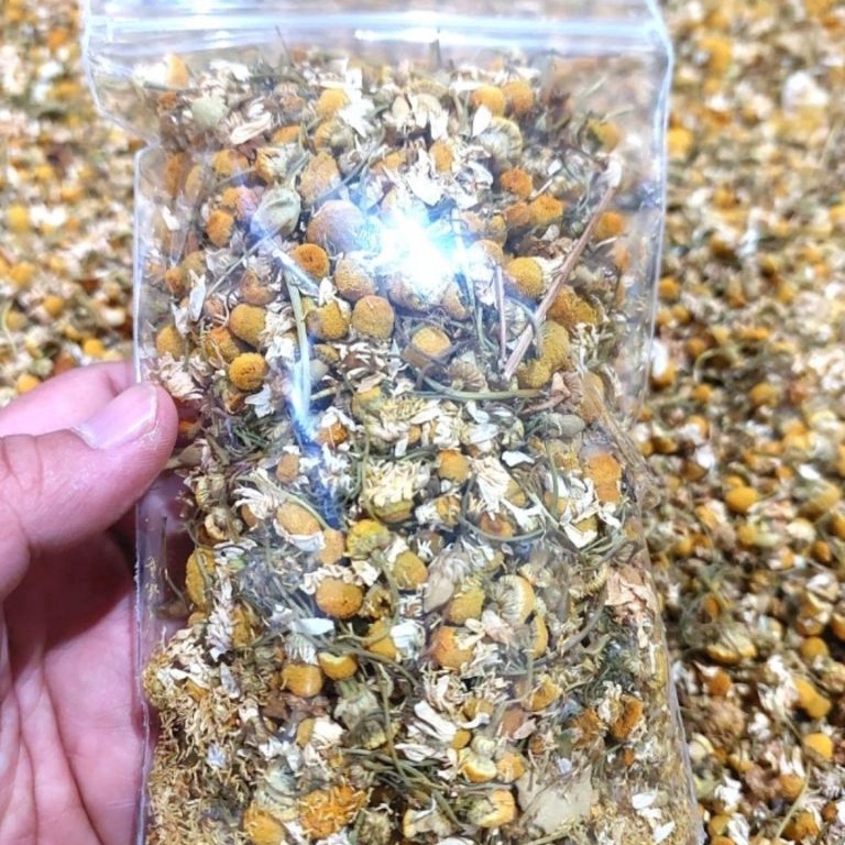 

NEW PRODUCT B85 Teh Bunga Chamomile Kering 25gr / 50gr - Kualitas Bagus お