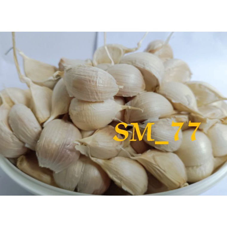 

Bawang Putih Kating 1kg Protolan ォ