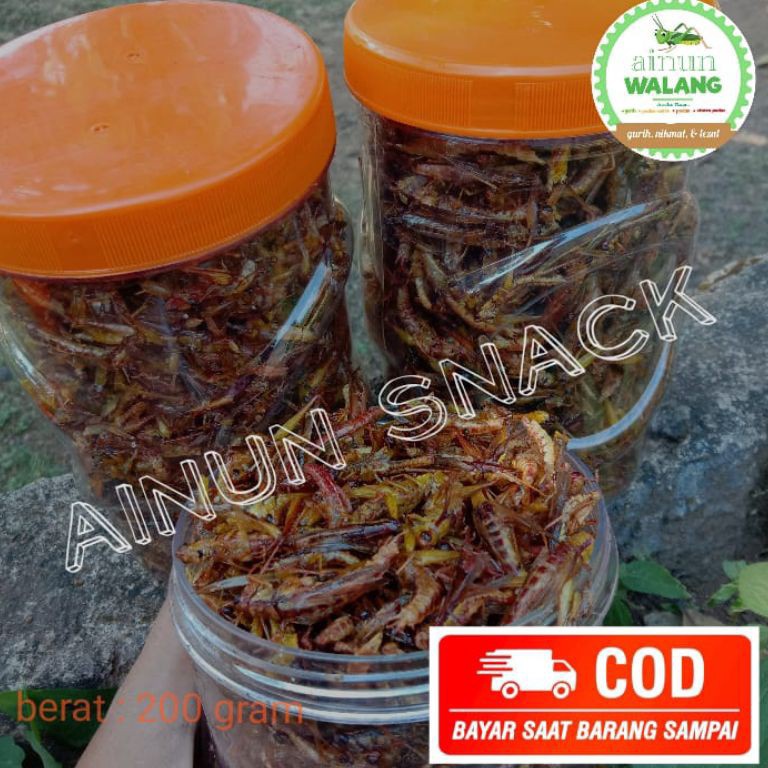 

BARU SPESIAL I85 COD WALANG GORENG TERLARIS/BEST SELLER BELALANG GORENG PALING MURAH ➢