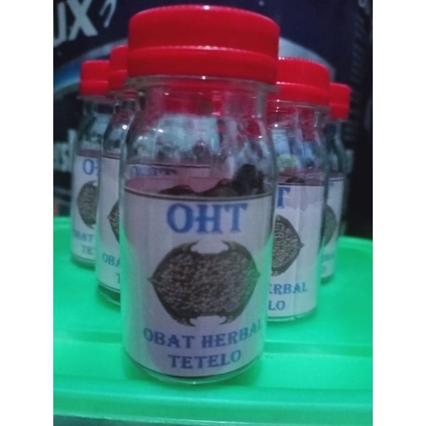obat herbal merpati telo