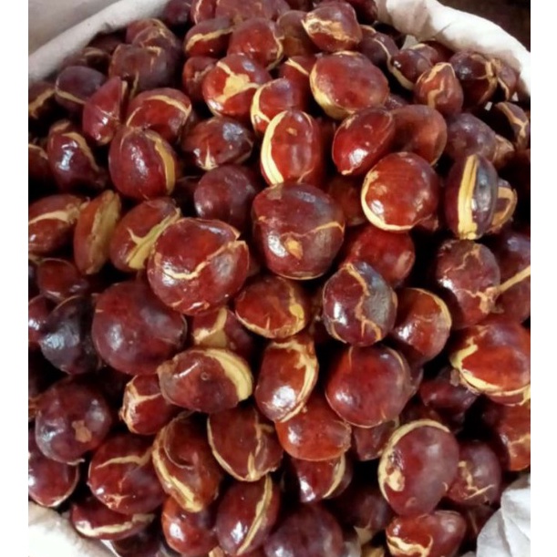 

TERBARU Jengkol Tua Super / jumbo 500 gram