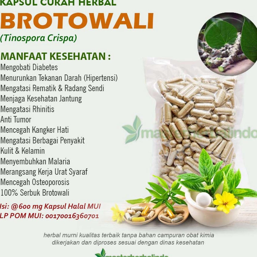 

Terbaru Kapsul Curah Herbal BROTOWALI 200x600mg Diabetes Rematik Syaraf Gatal Luka