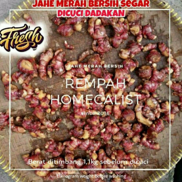 

[KODE PRODUK DCYEO7944] Jahe Merah Bersih 1kg dicuci dadakan / jahe merah segar / Jahe Merah Asli / Jahe Merah Fresh