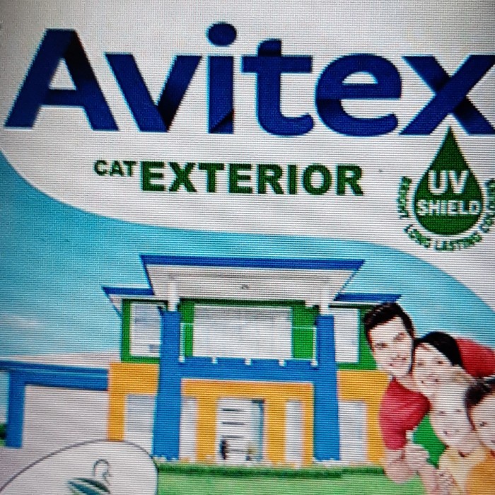 avitex exterior 5kg