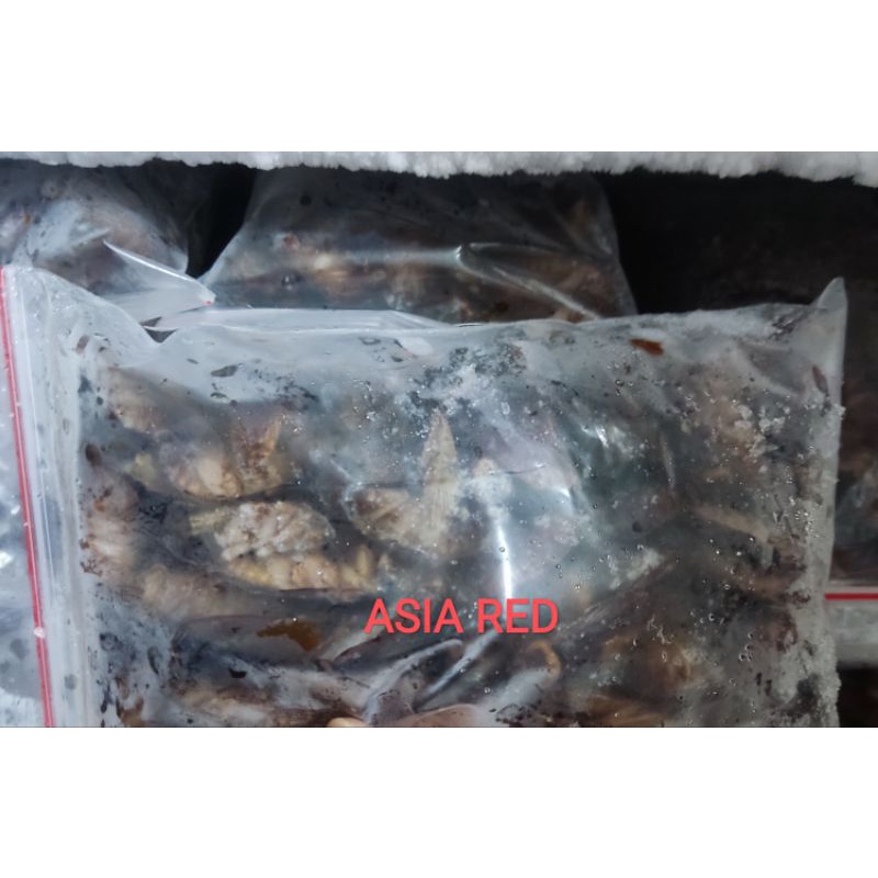Kecoa beku sudah potong kaki / pakan ikan arwana / pakan ikan predator