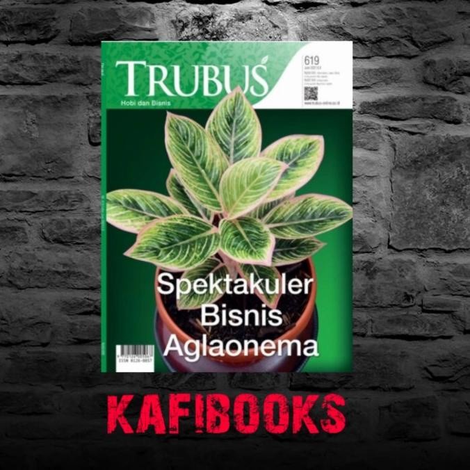 FLASH SALE NEW PAKET MURMER 1 BUKU AGLONEMA TRUBUS & 1 MAJALAH TRUBUS EDISI JUNI TERMURAH