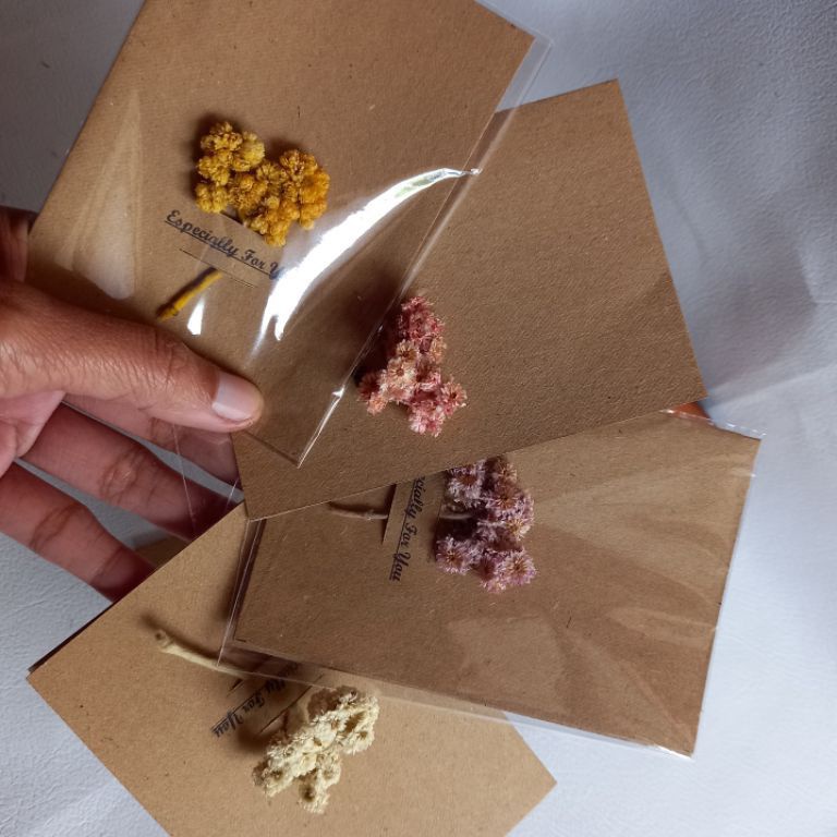 

Terupdate GROSIR Kartu ucapan dried flower bunga kering abadi grosir ZEC