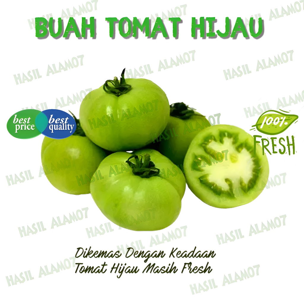 

Tomat Hijau Segar Fresh 500 Gram